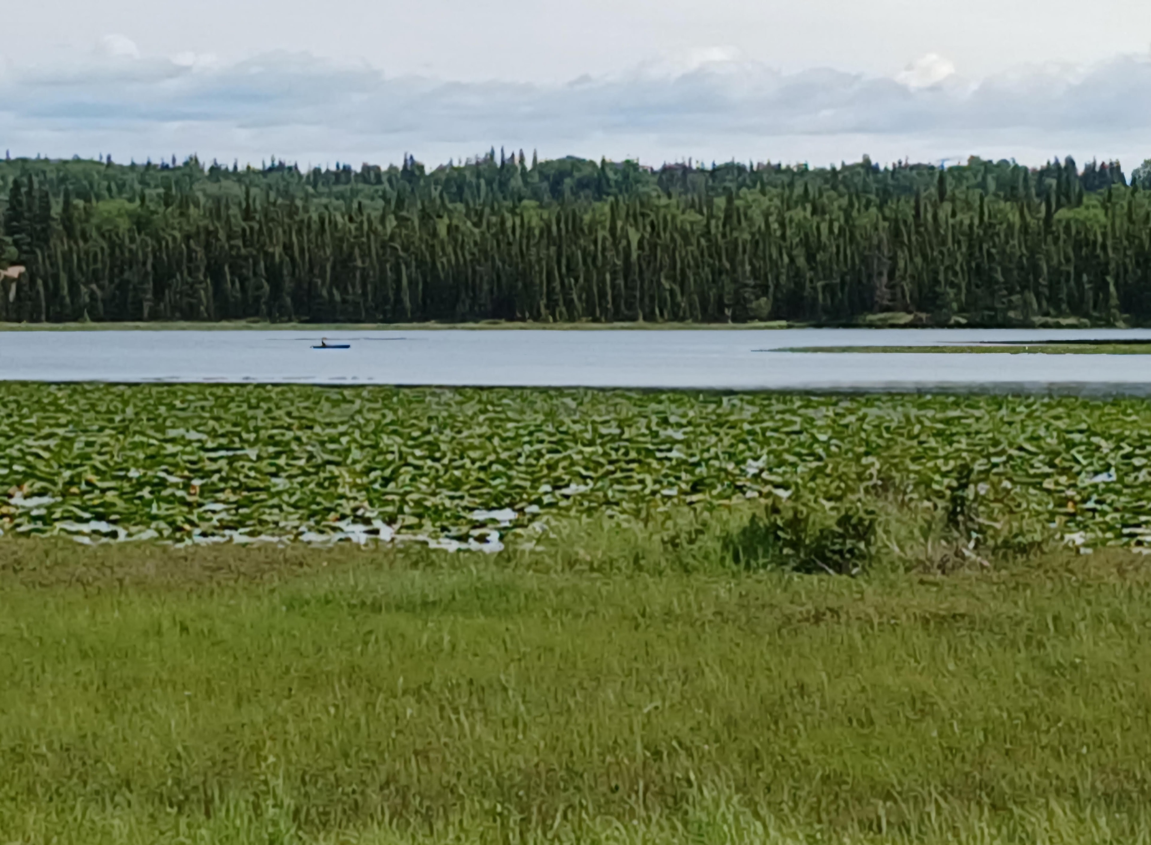 Johnson Lake, Kenai Peninsula Alaska