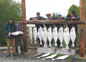 halibut Halibut catch