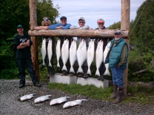 davetodd-haltrip Our catch
