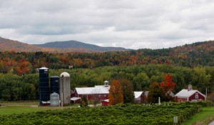 boydenwinerycambridge Boyden Winery Farm, Cambridge