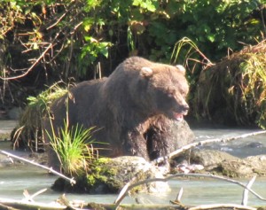 mother eating