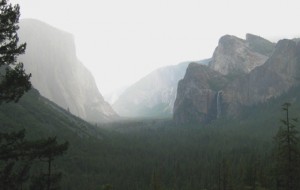 Yosemite valley inrain