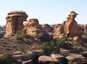 bird pinnacle