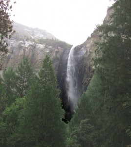 bridalveilinrain