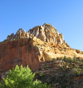 cporganpipebutte