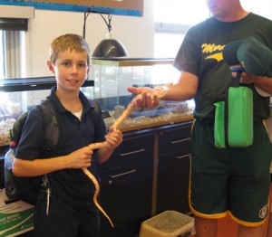 jimsnake
