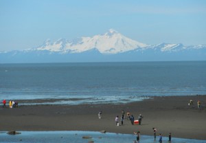 Mt. Iliama clambeach